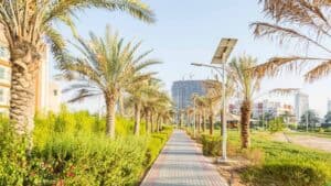Grand Paradise 1 Dubai 1