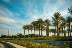ACUD offers green building incentives for investment projects in New Capital