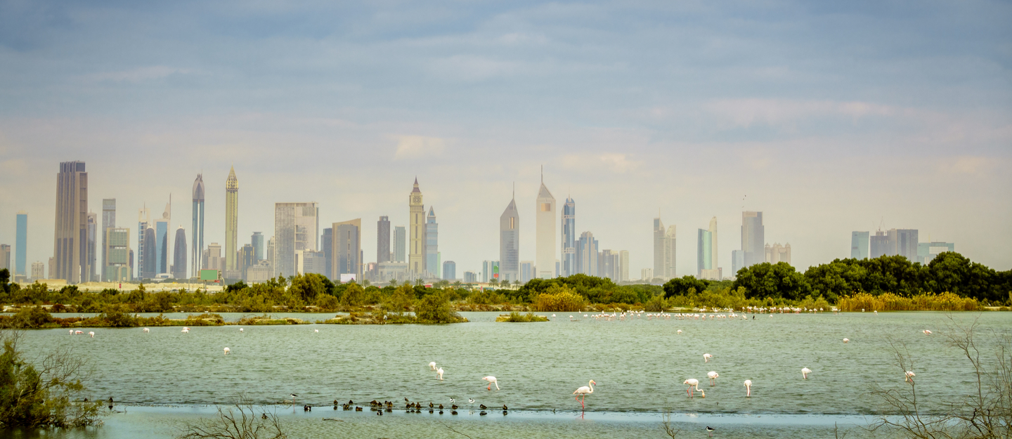 Al Khor Dubai