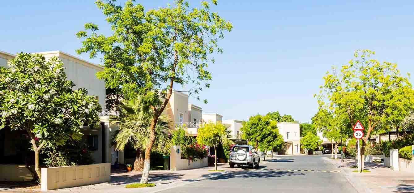 الفورادا 1، المرابع العربية