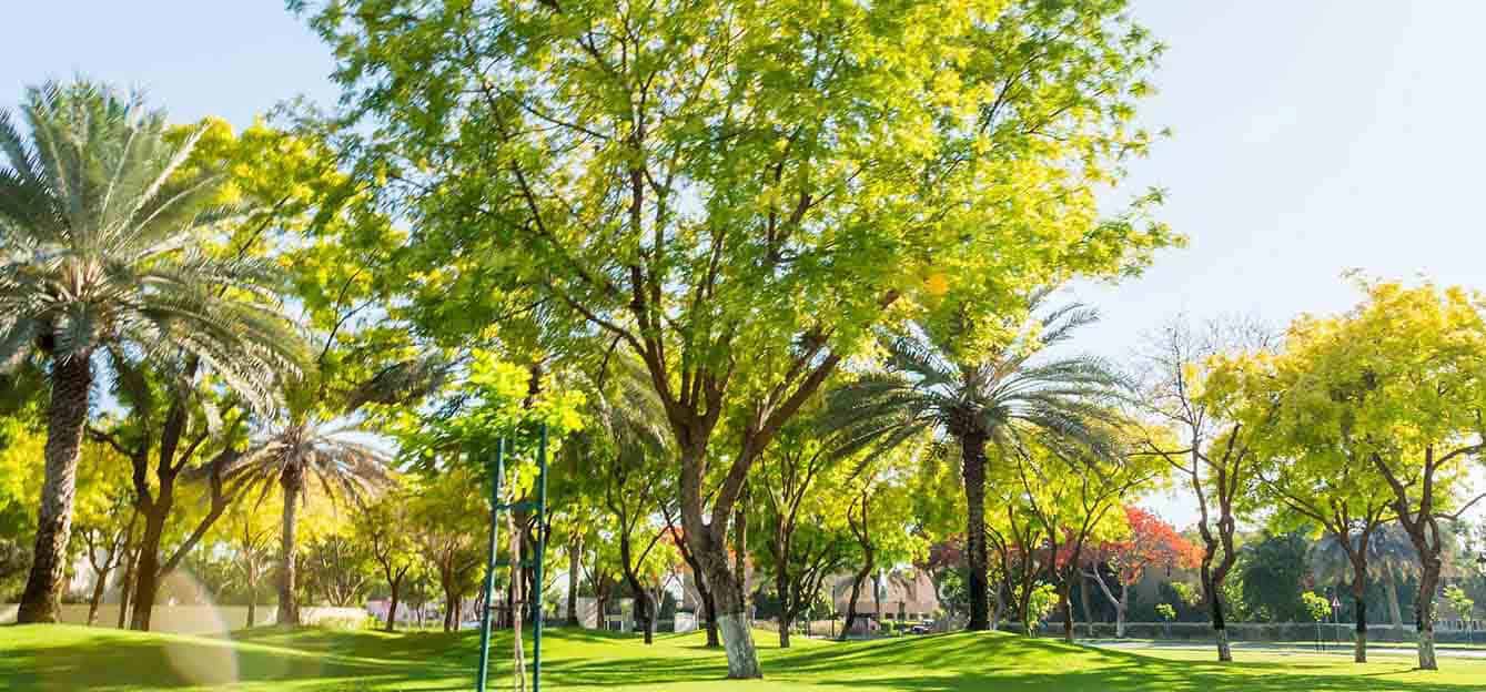 Deema 1 the Lakes Dubai