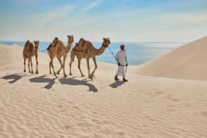 Mesaieed Qatar 1