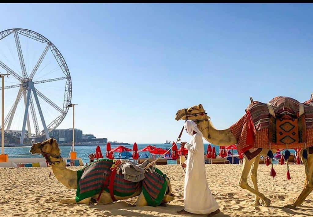 Murjan 5 Jumeirah Beach Residence