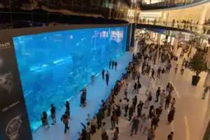 The Dubai Mall