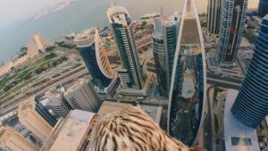 What is the Rental Yield in Qatar