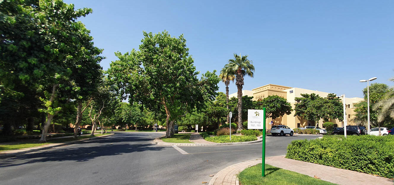 the Gardens Dubai