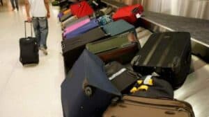 Dubai: Man caught with live snake, monkey’s hand in luggage at airport