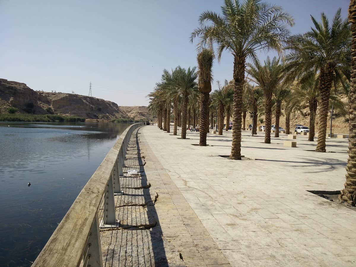 Dhahrat Namar District in Riyadh
