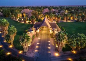Nofa Riyadh