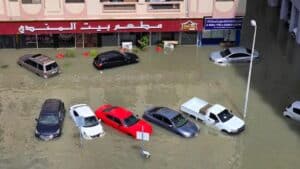 ‘Spent 12 hours on flooded roads’: UAE’s private sector employees appeal for remote work