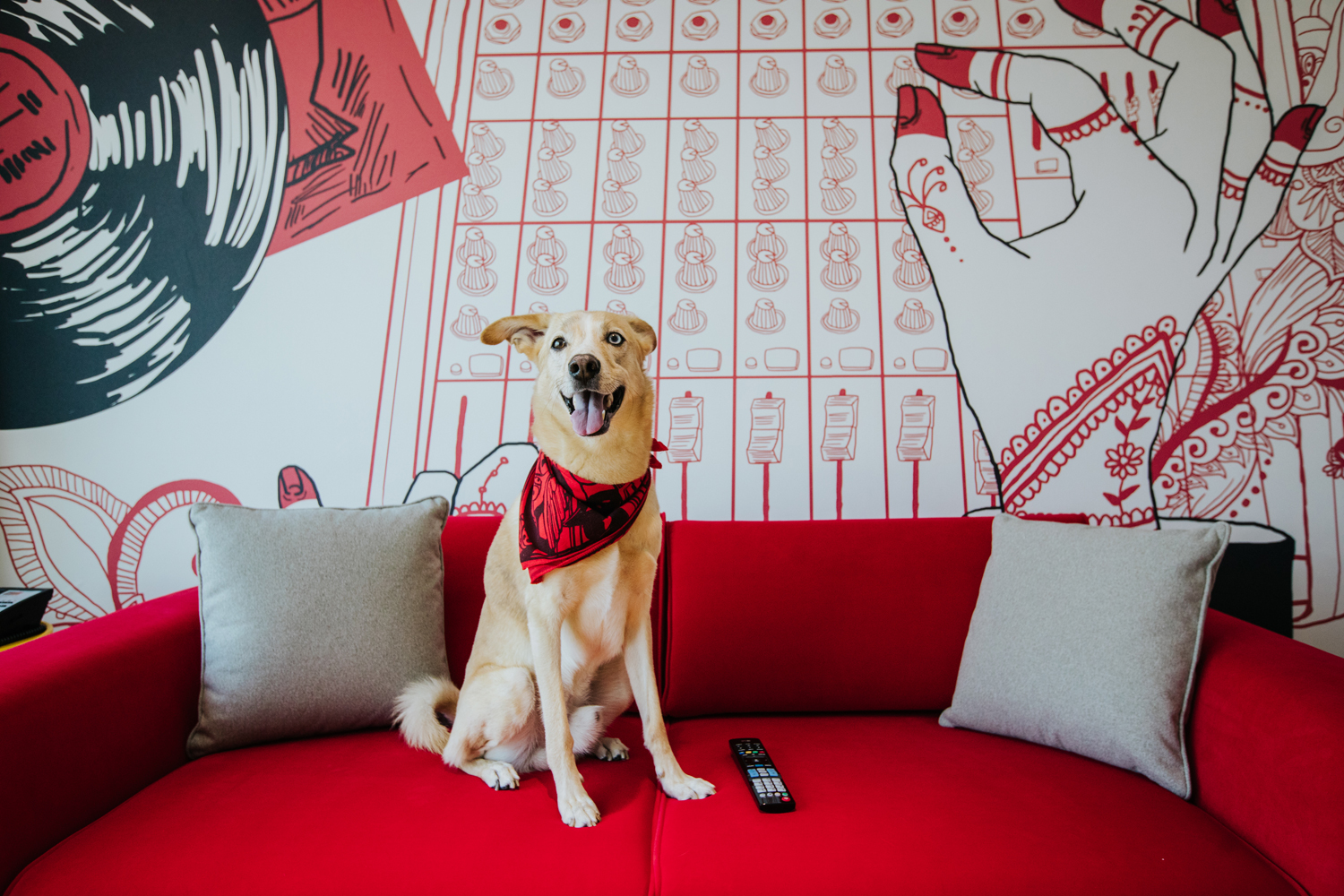 Pet-Friendly Places in Dubai
