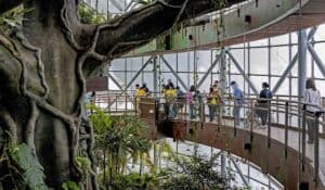 The Green Planet Dubai