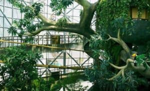 The Green Planet Dubai