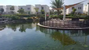 Alghadeer Abu Dhabi 