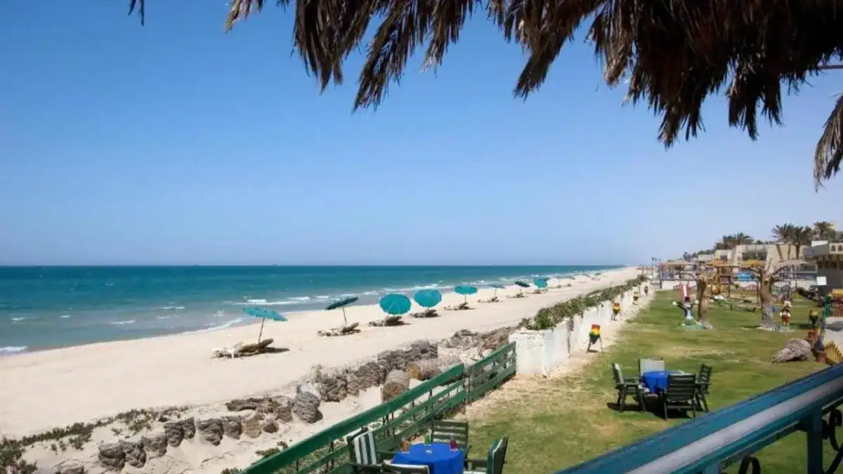 Arish City Guide