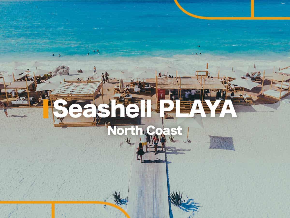 Seashell Playa