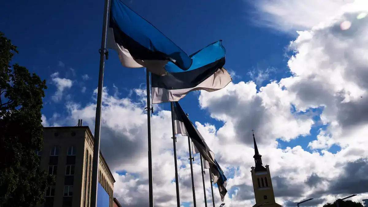 How to Become a Successful Real Estate Agent in Estonia