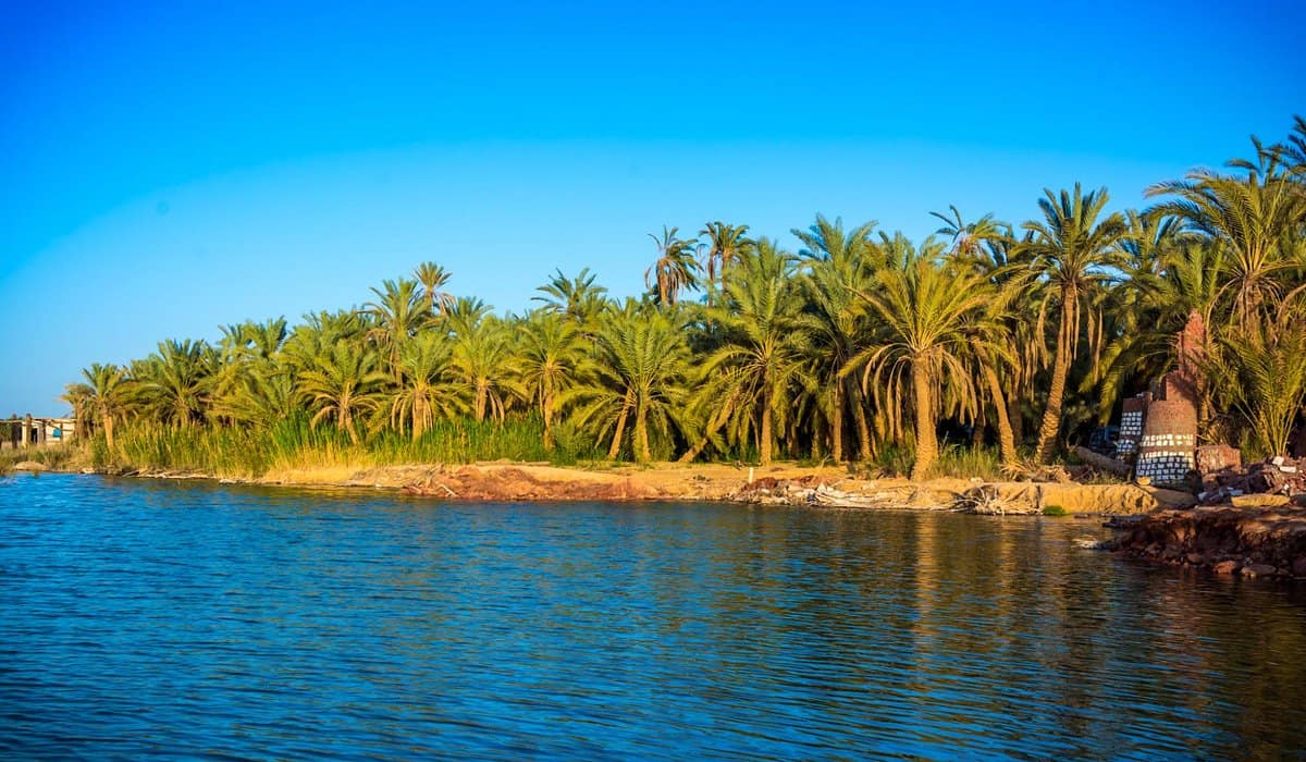 Things to Do in Siwa Oasis, Egypt 