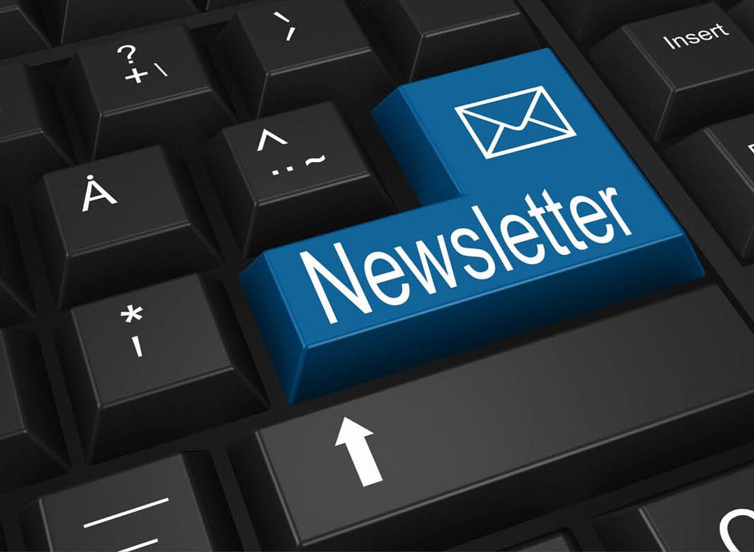 Develop a subscription-based newsletter with market insights