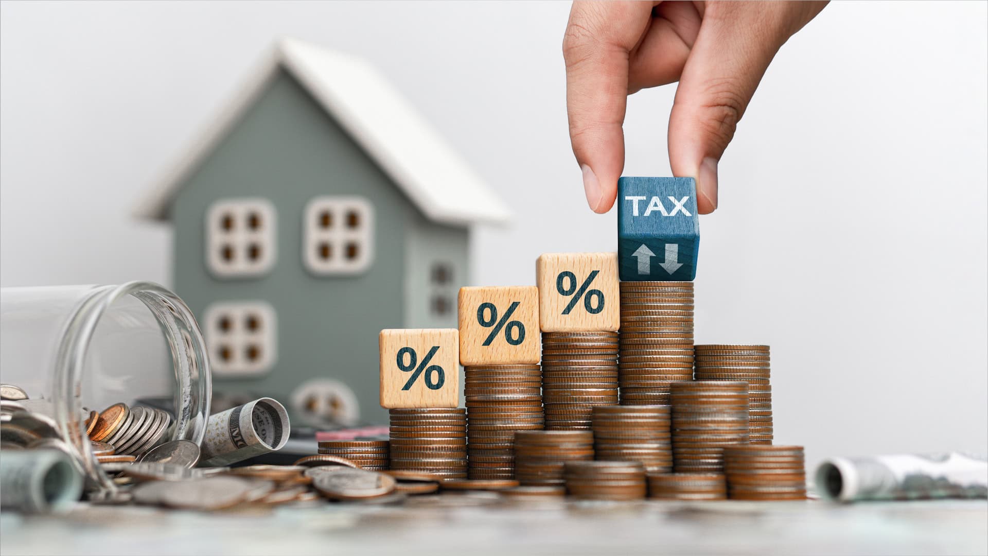Property Tax Appeal Assistance