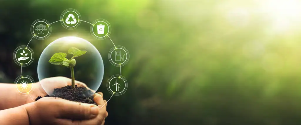 Providing Information on Local Environmental Initiatives