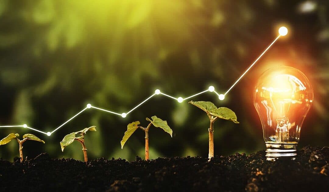 Providing Information on Local Environmental Initiatives