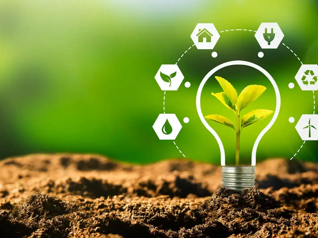 Providing Information on Local Environmental Initiatives