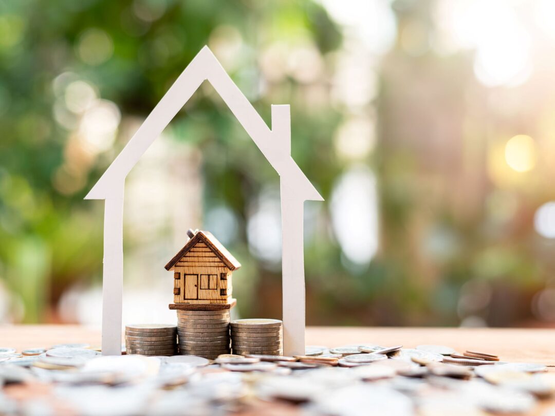 Subscription-Based MLS Access for Investors