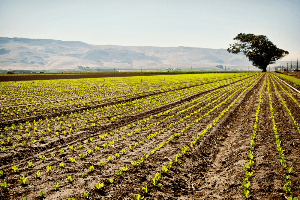 Using the MLS to Find Properties for Agricultural Investments