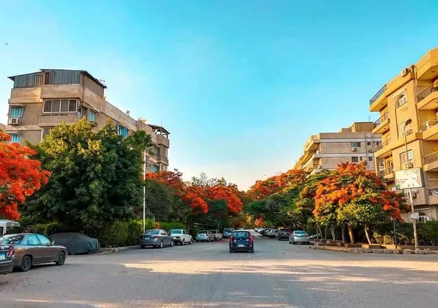 أفضل مناطق المعادي للمعيشة طويلة الأمد