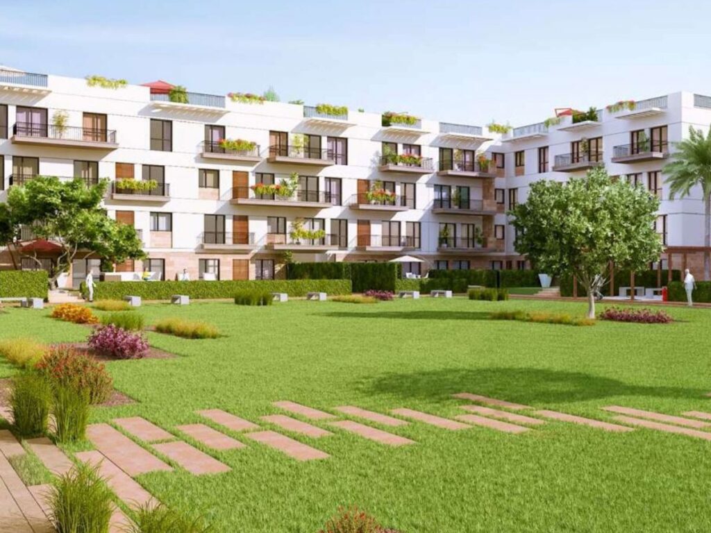 Why Investors Are Flocking to Sheikh Zayed Apartments