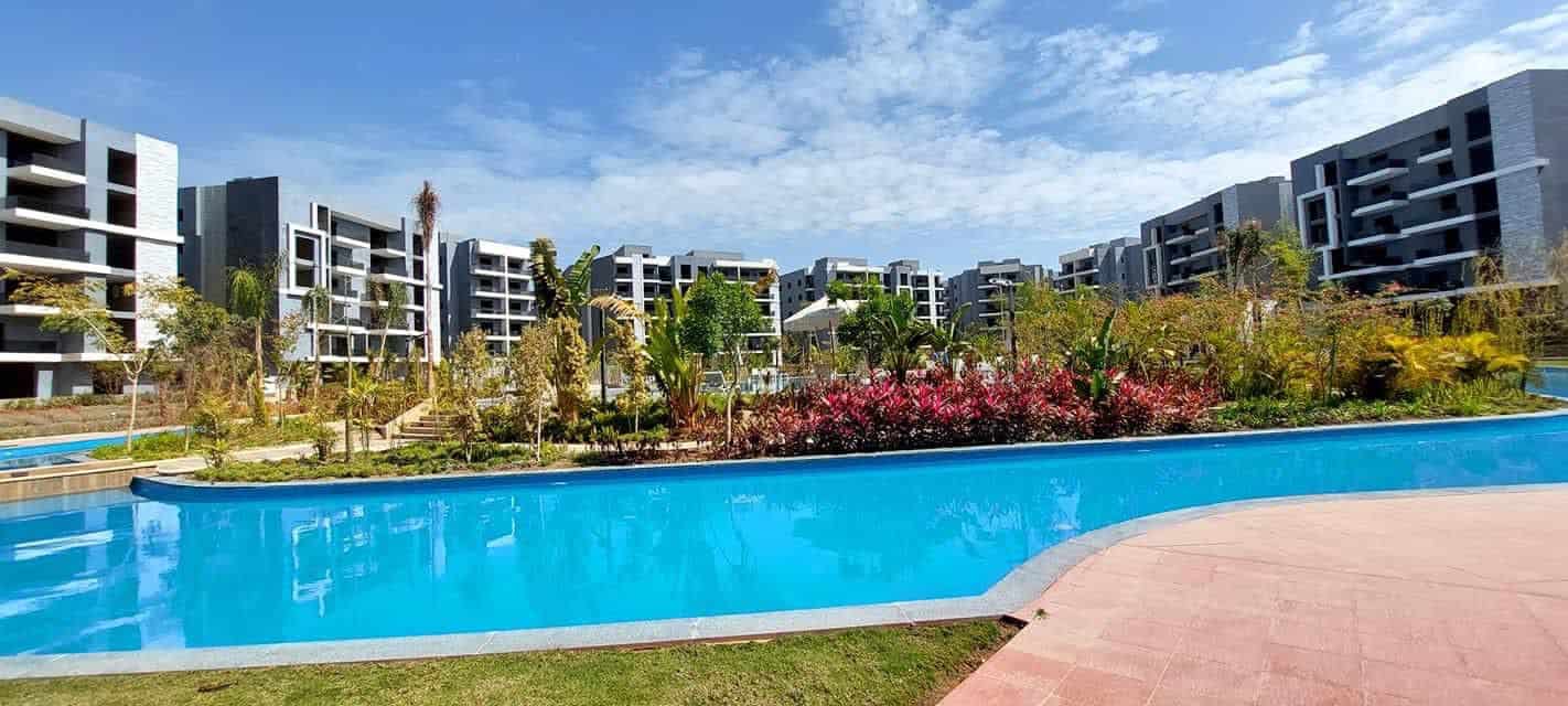 Why Sheikh Zayed Is Perfect for Families and Professionals